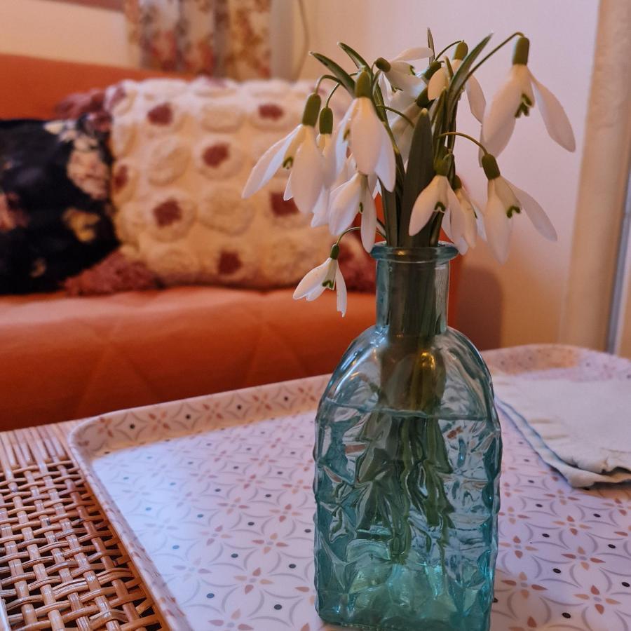 La Longere D'Ecottes Bed & Breakfast Licques ภายนอก รูปภาพ